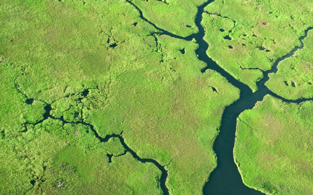 Marshes Near Turiano Lagoon