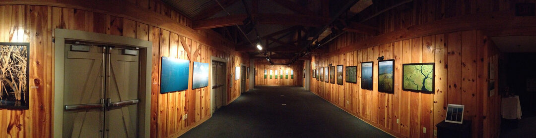 Installation view at  Bayou Terrebonne WaterLife Museum
